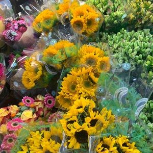 Meet your Posher, Peyton